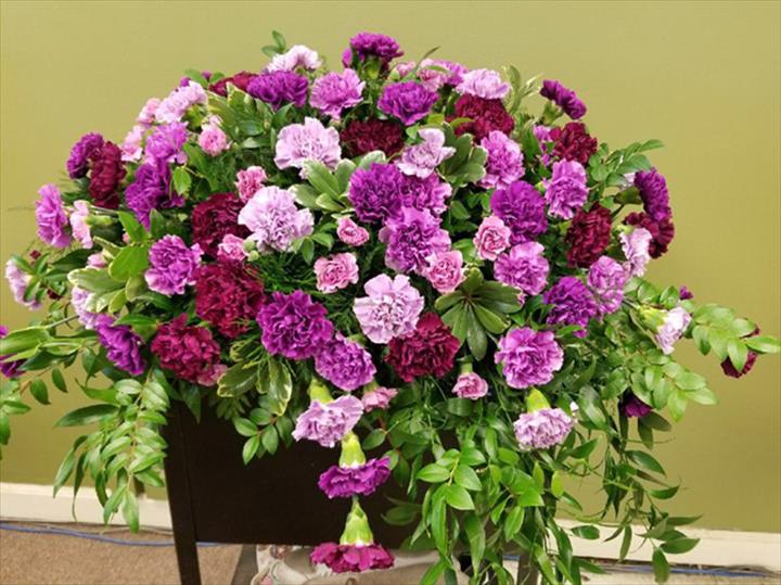 The Village Flower Shop Bensenville, IL